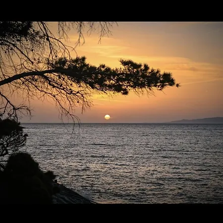 Borak Blato (Korcula)